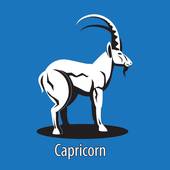 摩羯座女生6月份桃花运(星途璀璨爱情甜蜜)