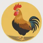 81年鸡43岁后十年大运运程，81年鸡在2025年的全年运势