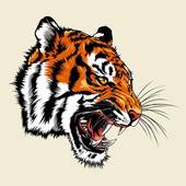 属虎人跟谁一起最幸福呢(寻找最佳伴侣)