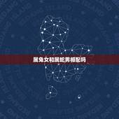 属兔女和属蛇男相配吗(十二生肖配对分析)