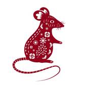 属马人与属鼠人相处怎样(顺应彼此共创美好)