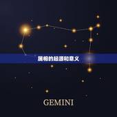 00年属于什么生肖啊(介绍00年出生的人属于哪个生肖)