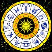 2023年猪人运势，属猪的71年的2023年的运势？