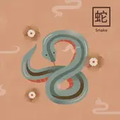 2025年属相查询指南：生肖蛇运势解析与禁忌清单