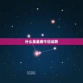 星座今日运势查询运势(掌握今日运势开启好运之门)