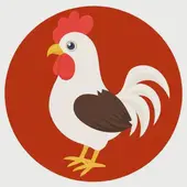 属鸡的都是几几年的都是多大：鸡年是哪几年多少岁对照表