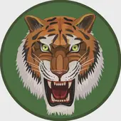 属虎女今日运势完整解析：2025年2月9日具体指导