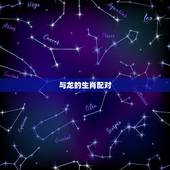 龙的生肖配对全部(十二生肖中龙搭配是哪些)