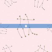 十二生肖拼音版带拼音(学习十二生肖拼音)