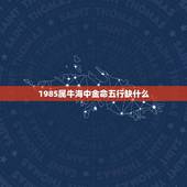 1985属牛海中金命五行缺什么(五行缺失分析及调整方法)
