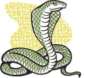 属蛇的今年多大2023(如何计算属蛇人的年龄)