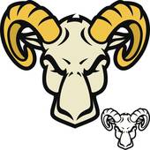 属羊的今年多大虚岁了(如何计算属羊人的虚岁)