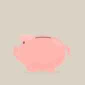 71年属猪今天的幸运数字(揭秘助你顺利度过每一天)