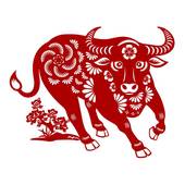 73年属牛女一生的劫难(命运多舛坚强面对生活的挑战)