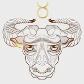 今日星座运势！附未来7天避坑指南