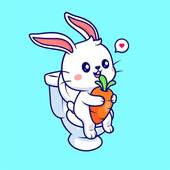 1987年属兔婚配禁忌(如何避免婚姻破裂)