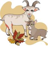 天蝎男失去白羊女会后悔吗(后悔莫及的爱情错过)