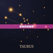 属兔的一生有几次婚姻(多少次婚姻才能满足兔子的爱情梦想)