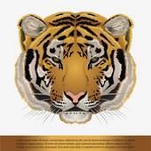 生肖蛇和虎合不合财运呢(财运合不合)