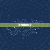 57年属什么生肖配对(如何找到配对)