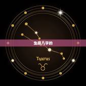 起名网生辰八字取名字(如何为宝宝取一个好名字)