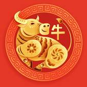 属牛与属牛婚配好不好属(两个牛会有好结果吗)