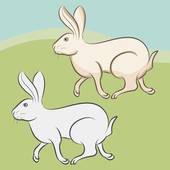 属兔的人今年有桃花运吗(2023年桃花运指南)