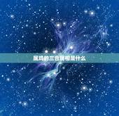 属鸡的三合属相是什么(介绍属鸡人的命运奥秘)