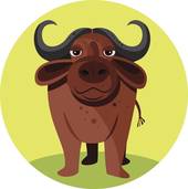 1973属牛女的烂桃花(如何化解)