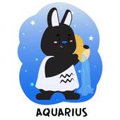 水瓶座男和双子座女配吗(星座专家揭秘最佳配对)