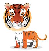 属虎的是哪年出生的最好(如何在生肖属相中好运)