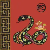 属蛇人2025运势解析：事业财运健康全指南