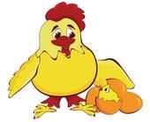 属鸡几点出生最好命女孩(如何选择最佳出生时间)