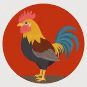 1981年属鸡的跟什么生肖配：1981年属鸡的最佳配偶