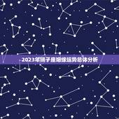 狮子座2023年姻缘(星象大介绍婚姻运势如何)