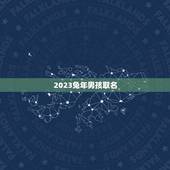 2023兔年男孩取名(兔年宝宝起名指南)