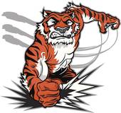 1986年虎4份的财运(繁华与挑战并存)