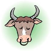 1985属牛女人命苦吗(探究命运与努力的关系)