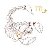 2023年5月的天蝎女(她的神秘魅力让人无法抗拒)