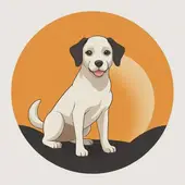 属狗和什么属相相冲相克相害