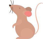 属鼠的和什么属相最配婚(最佳婚配星座大揭秘)