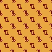 摩羯座今日运势详解：水墨先生权威指南