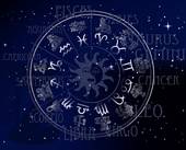 属虎和属鼠的合不合 虎鼠不结亲是什么意思