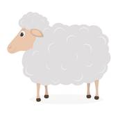 91年属羊佩戴什么旺财(如何提升财运)