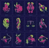 属猪的今年多大岁数2025年：2025年属猪虚岁年龄表