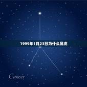1999年1月23日为什么属虎(介绍农历和属相的关系)