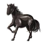 1978年属马女的婚姻(如何避免婚姻危机)