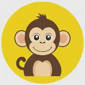 92年猴33岁才开始转运的人