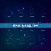 属狗的人和什么属相配(配对指南)