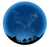 今天摩羯座女生运势如何(财运亨情顺利)